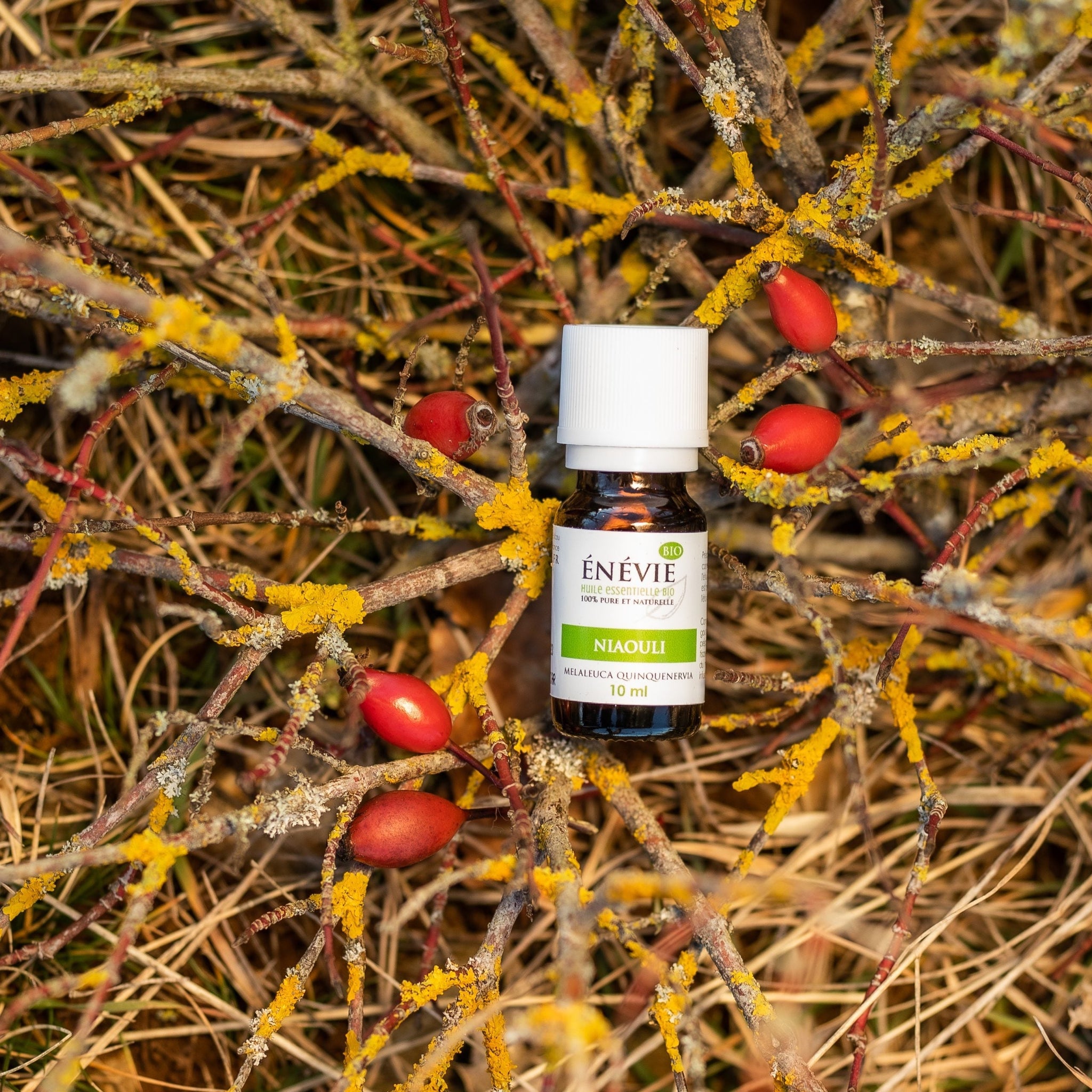 Bain tonique naturel