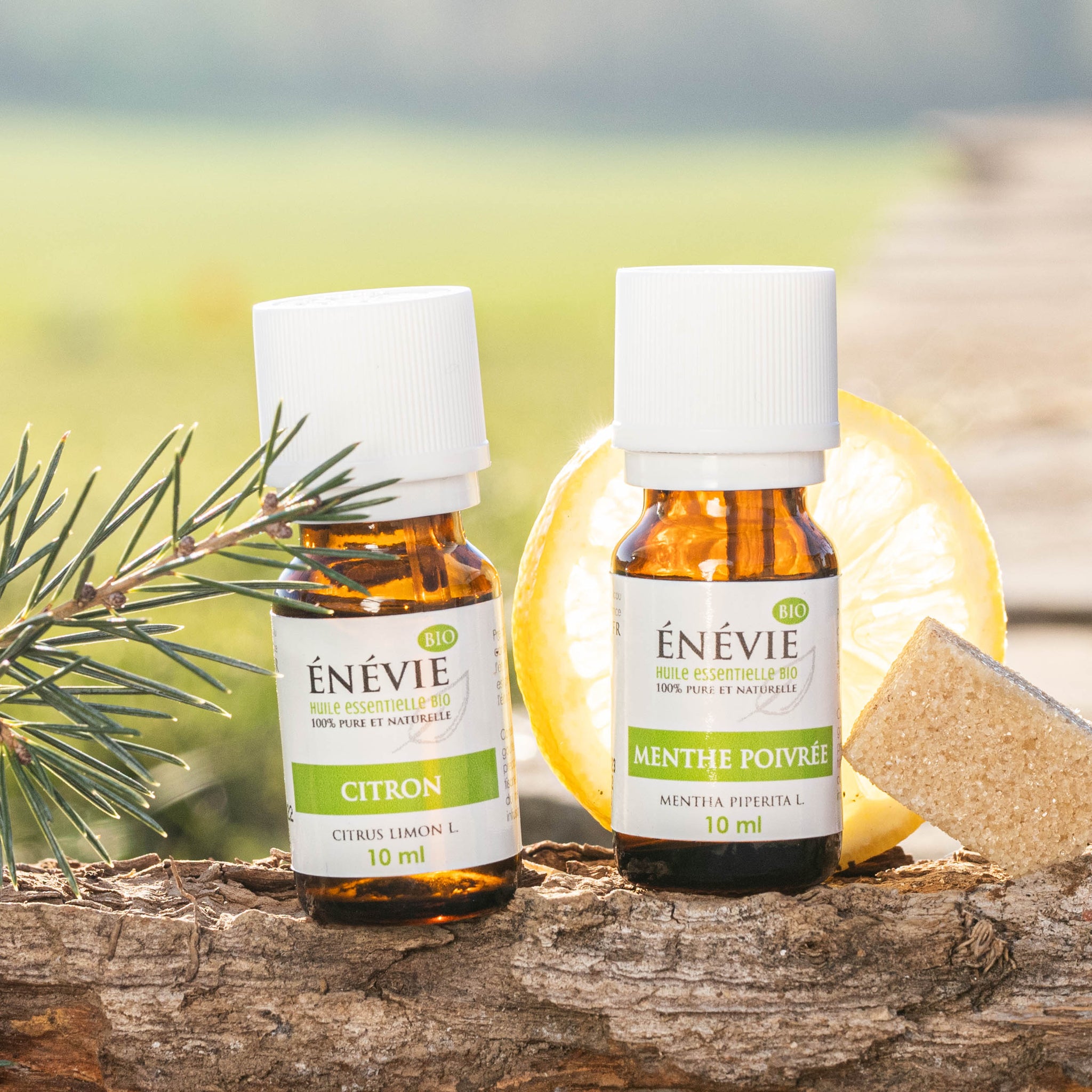 Comment faciliter la digestion grâce aux huiles essentielles ?