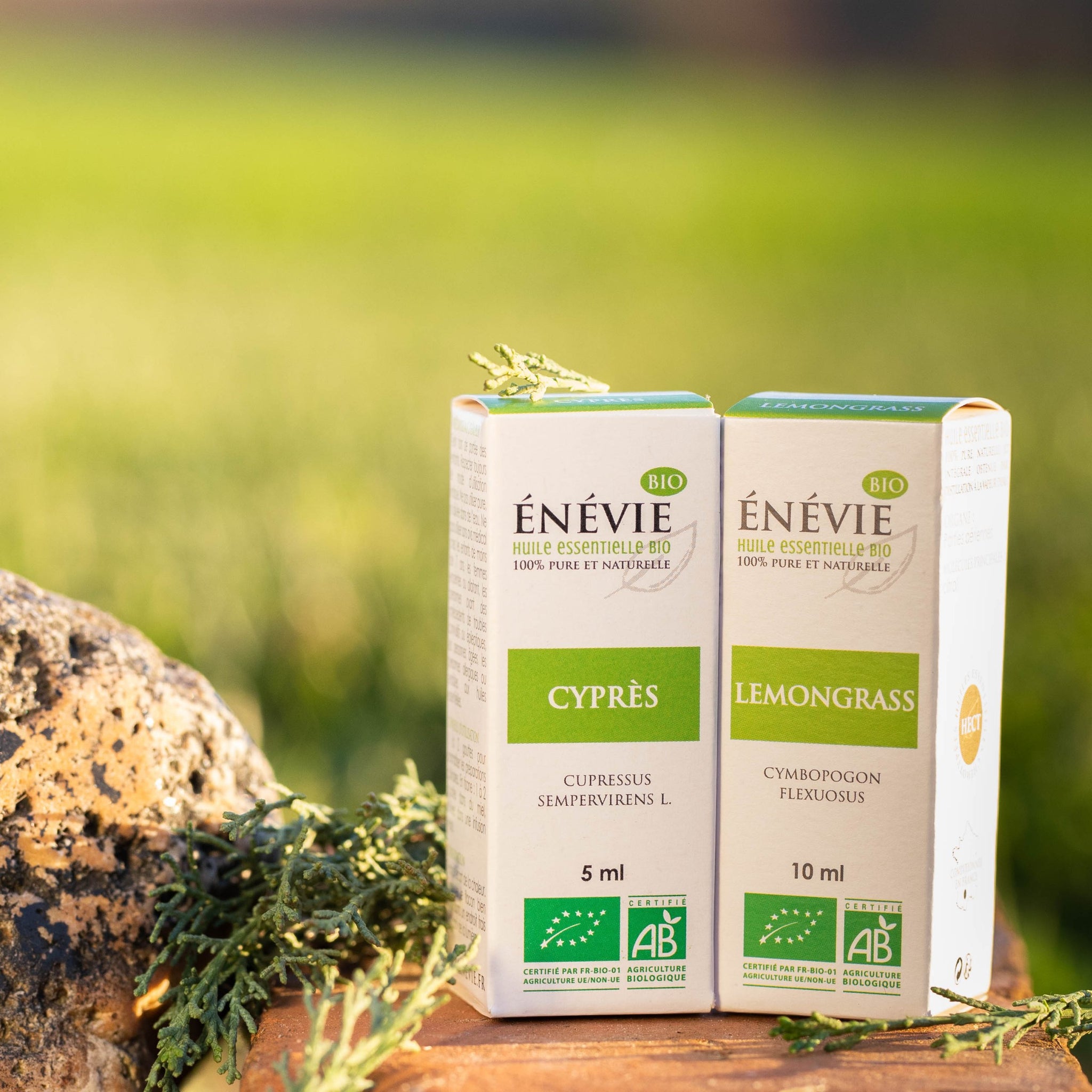 Comment calmer la toux d'irritation avec l'aromathérapie ?