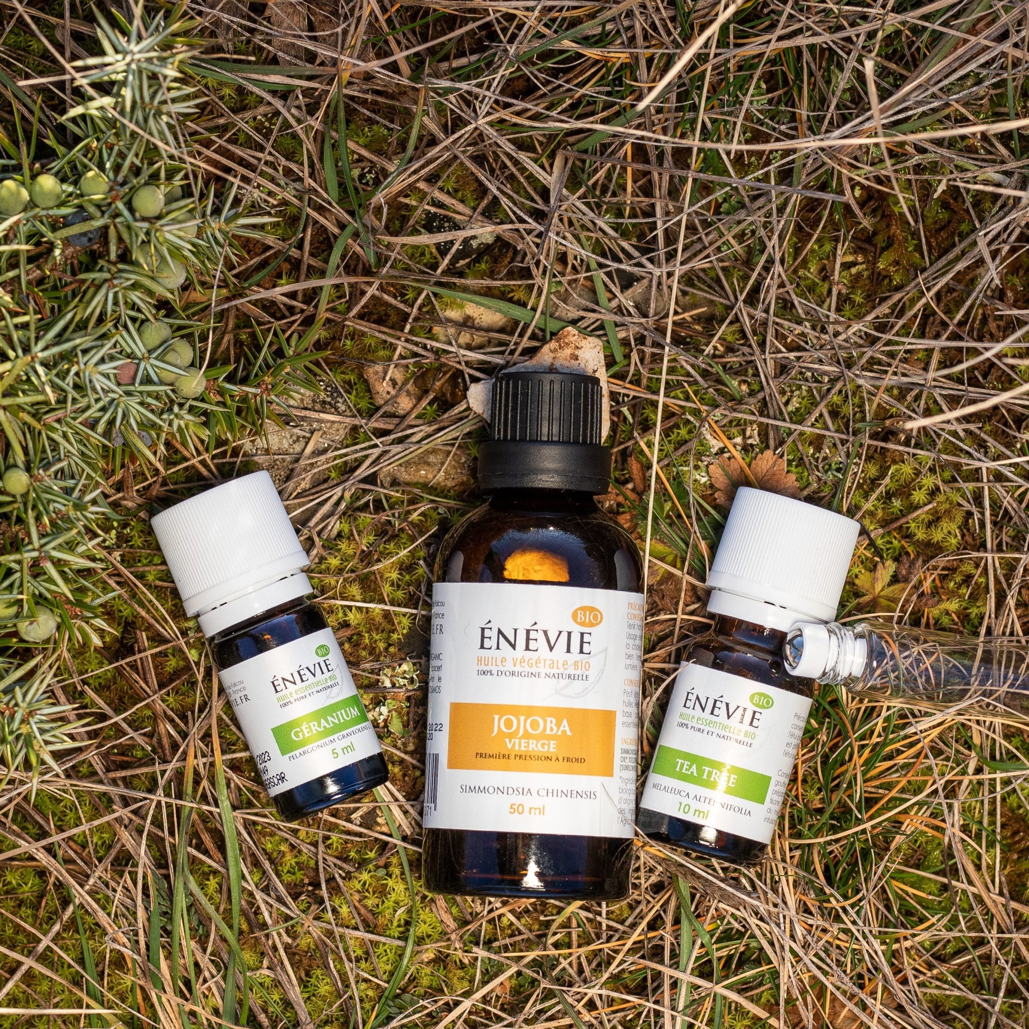 Comment traiter l’acné avec les huiles essentielles ?