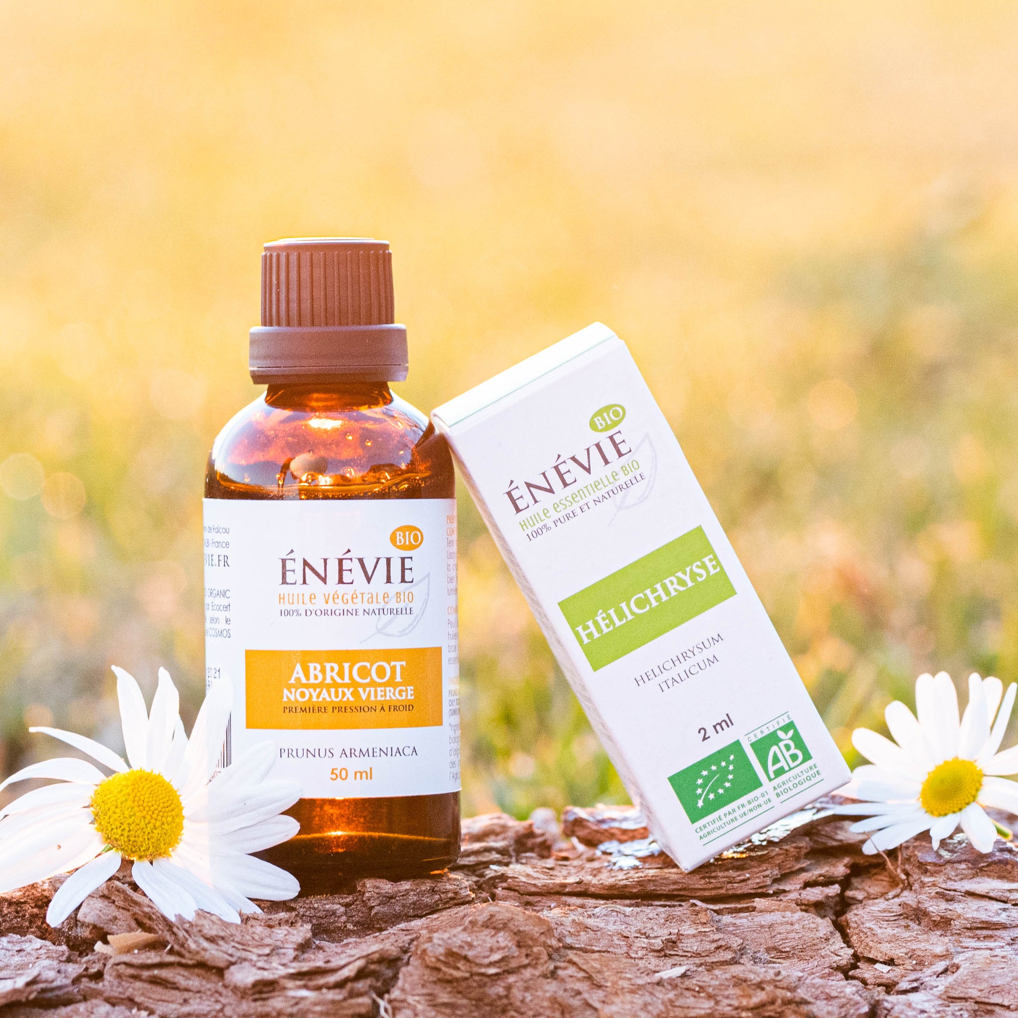 Chocs sans plaie : bleus, hématomes et ecchymoses