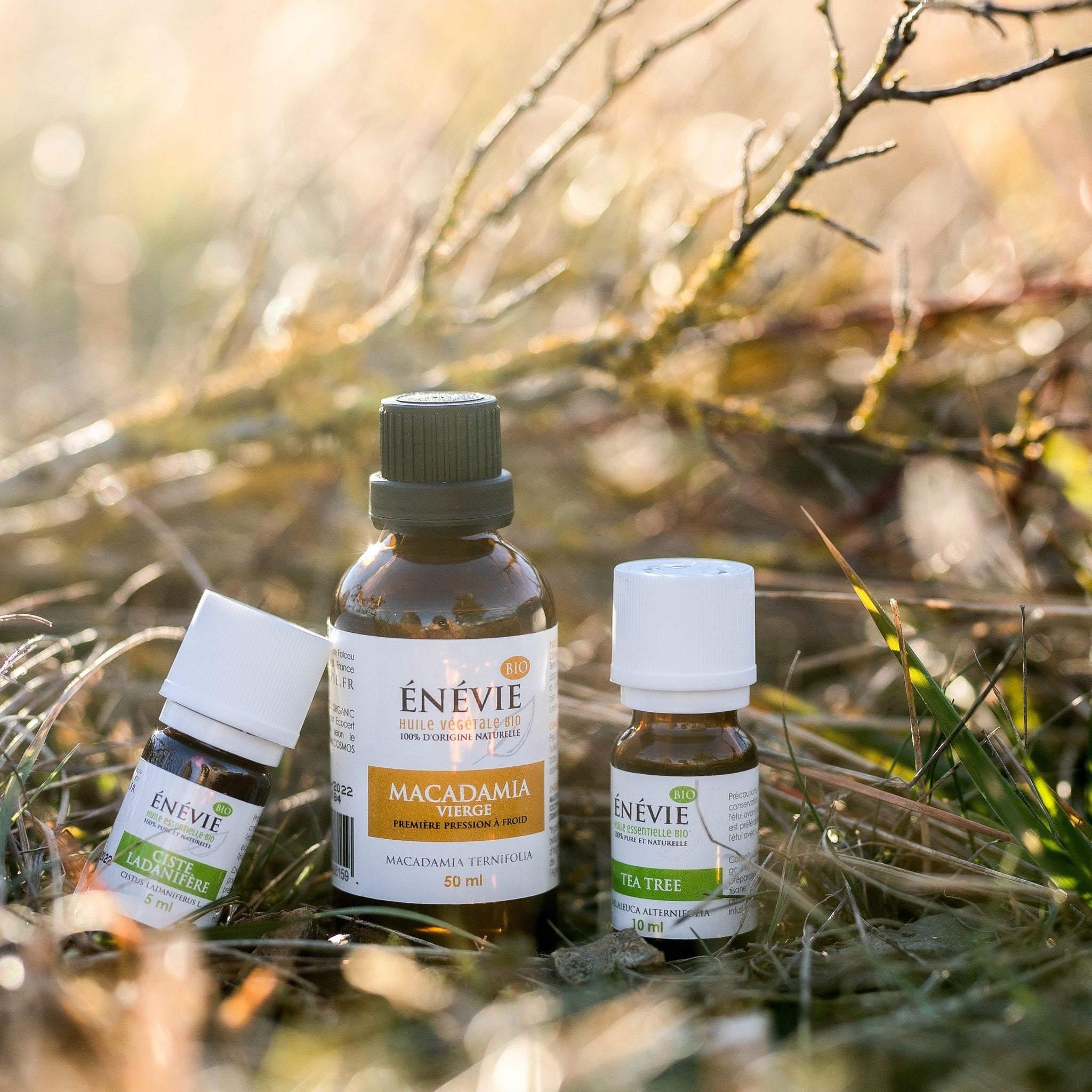 Blessures avec plaies : coupures et égratignures