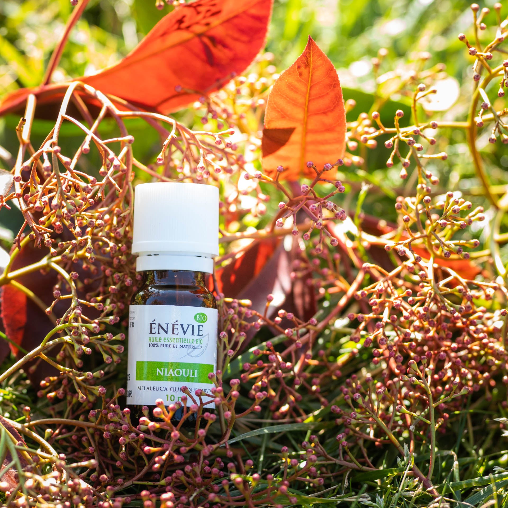 Bouton de fièvre ou herpès labial