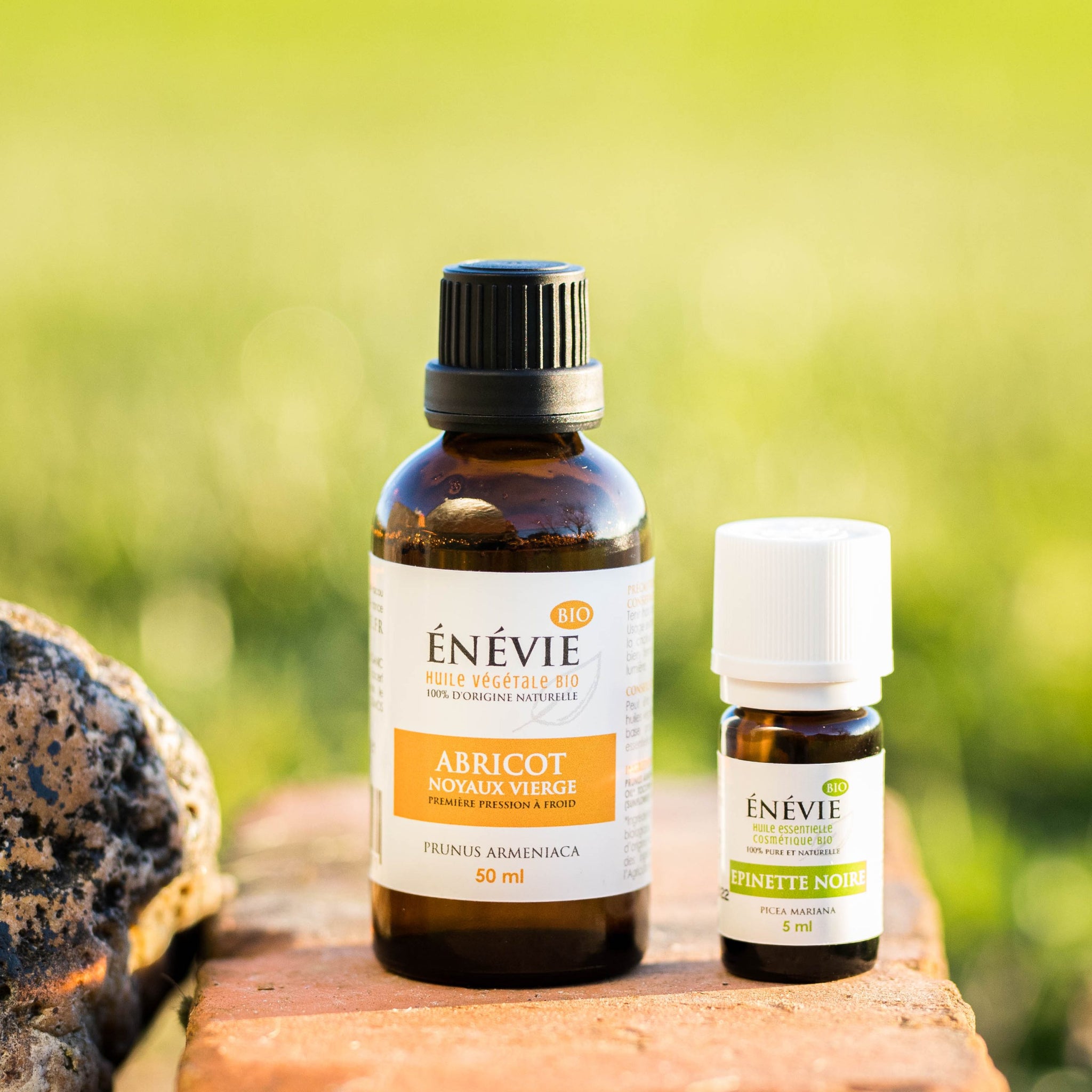 Comment retrouver l'énergie grâce à l'épinette noire ?