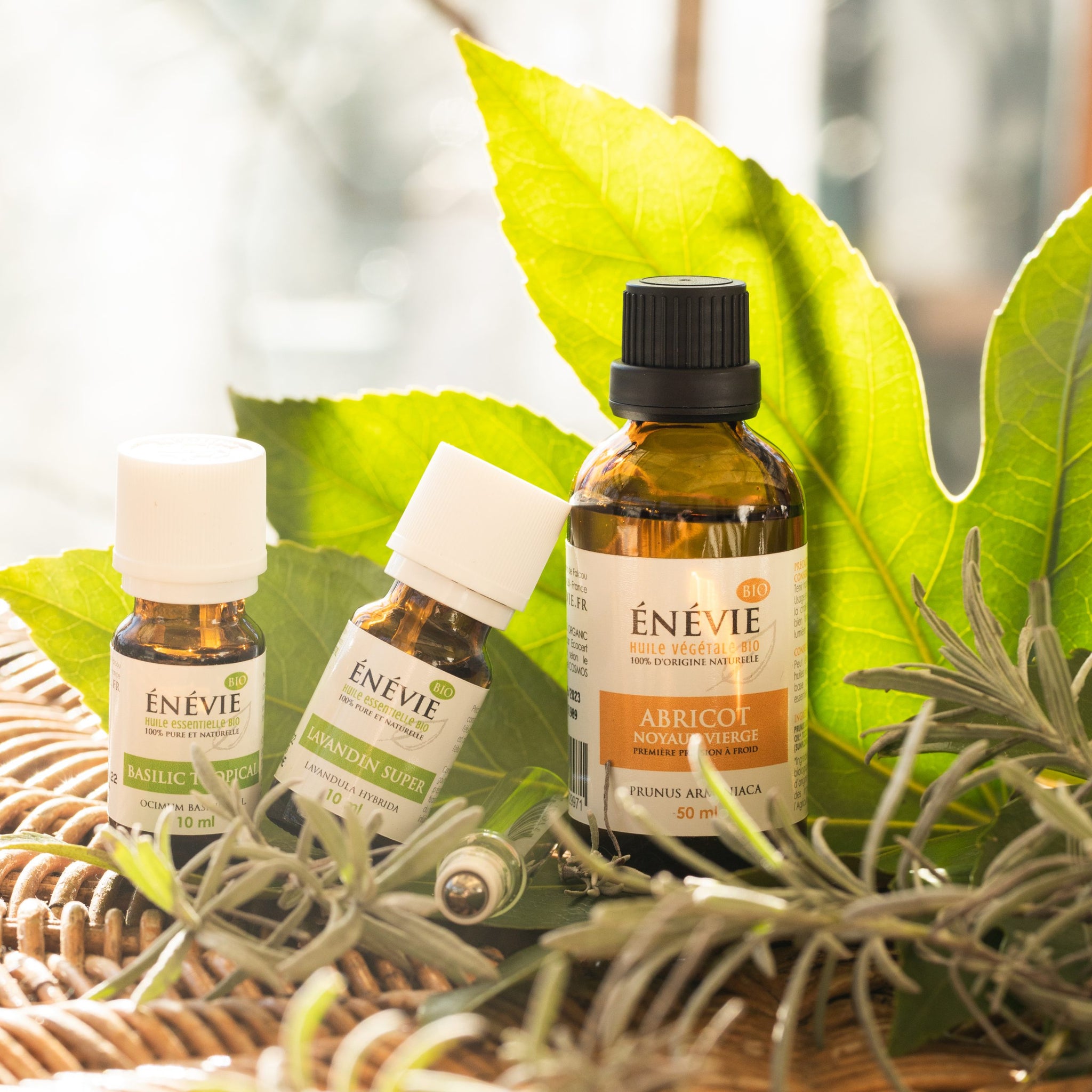 Comment retrouver un sommeil de qualité : Basilic tropical et Lavandin super