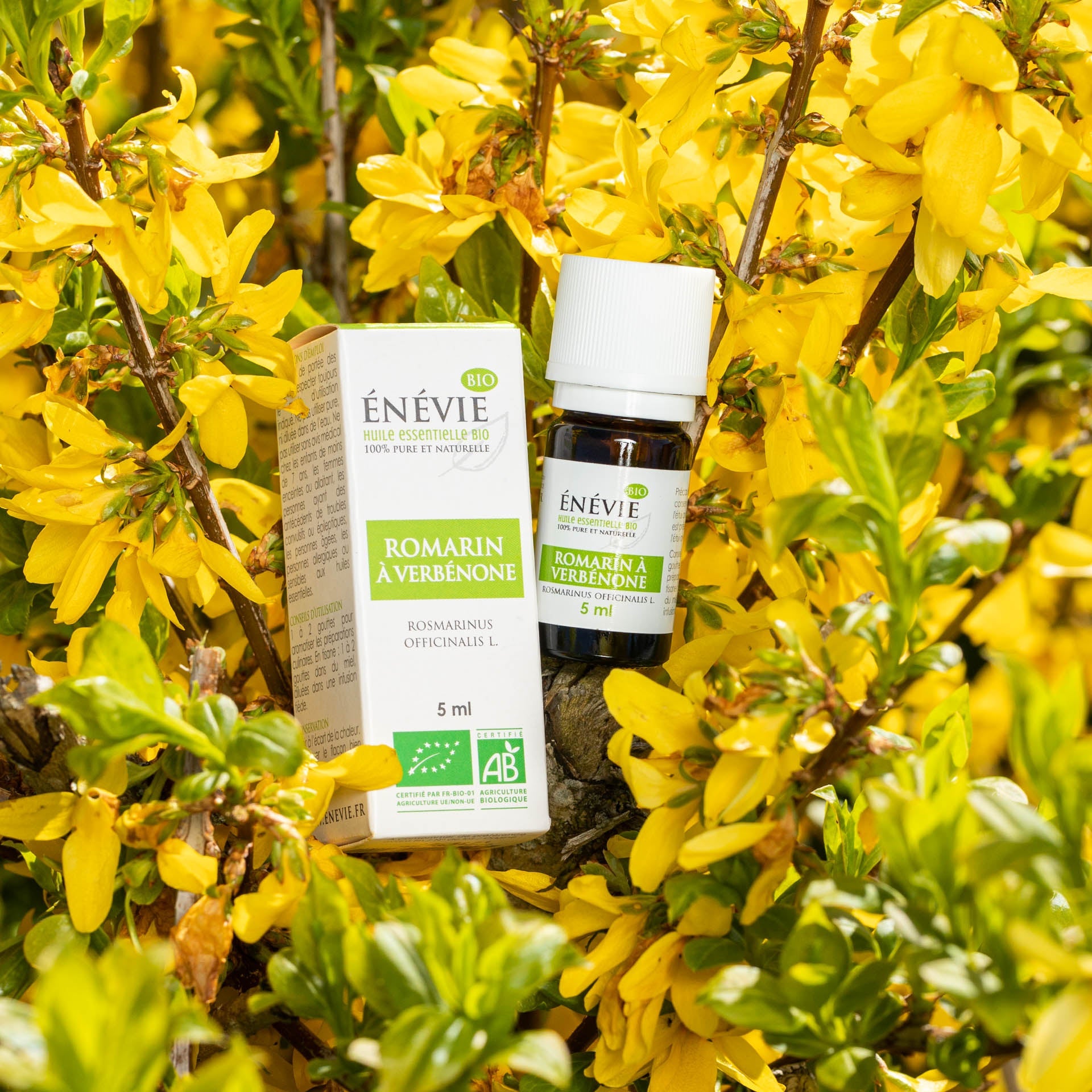 Stimuler la pousse des cheveux et la régulation du sébum