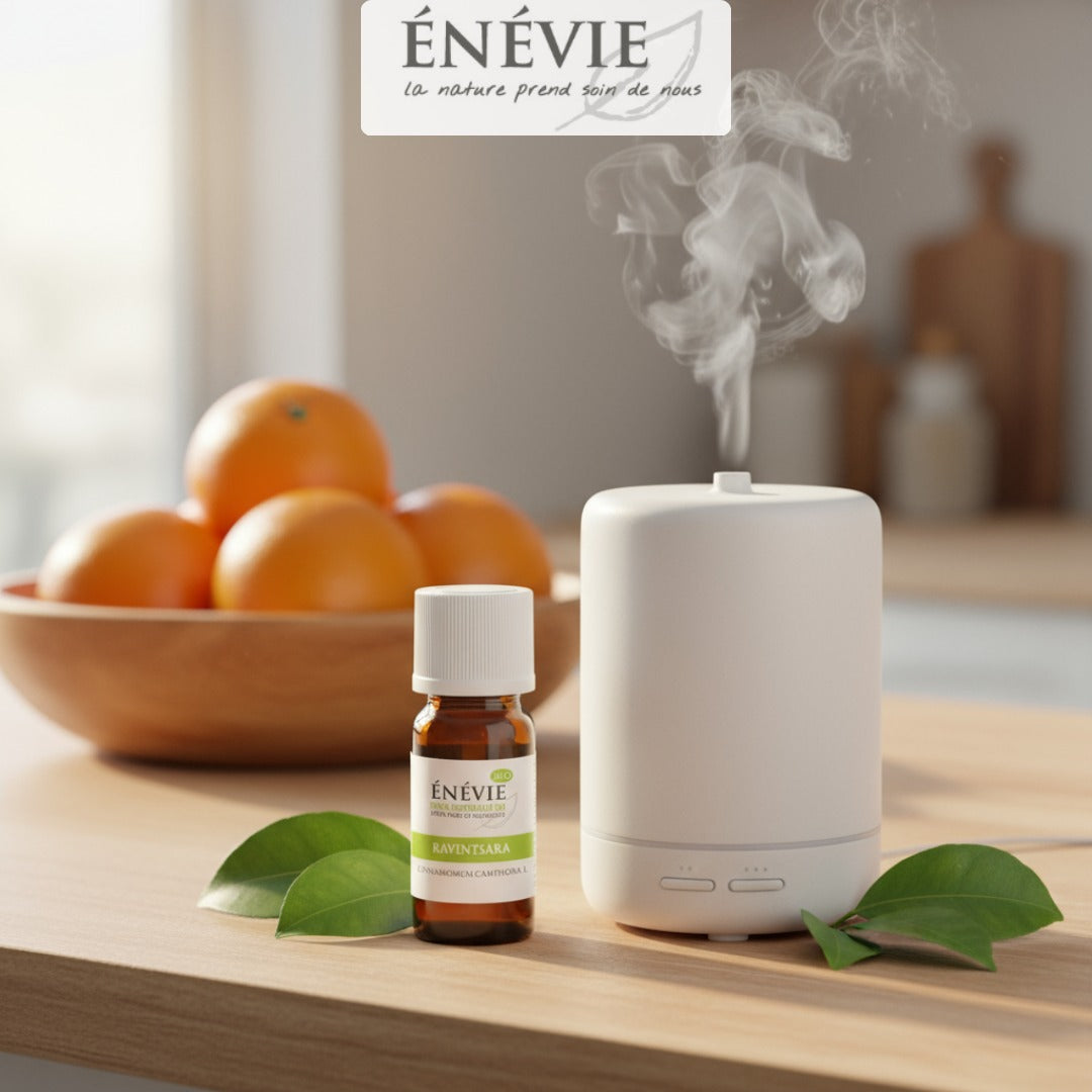 Huile essentielle de Ravintsara BIO 10ml