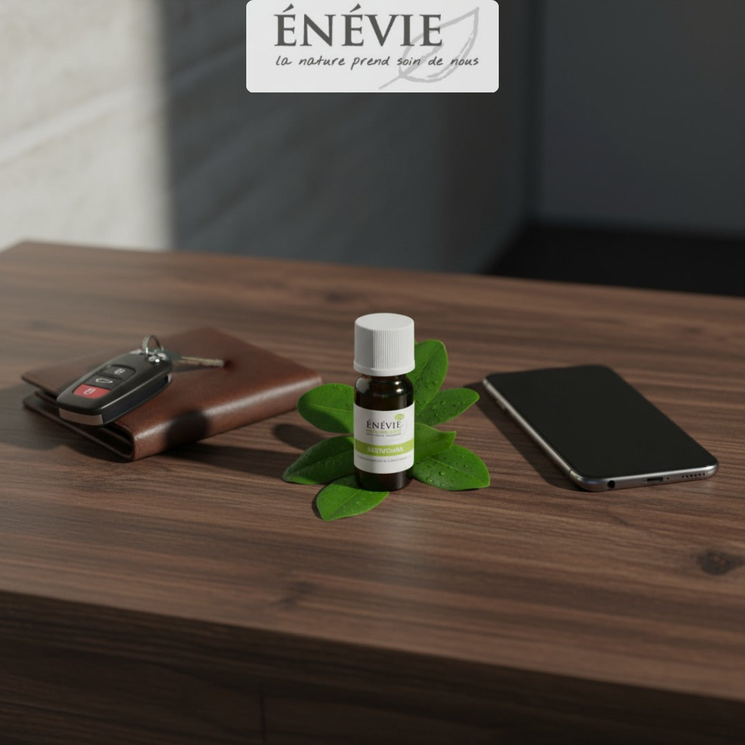 Huile essentielle de Ravintsara BIO 10ml