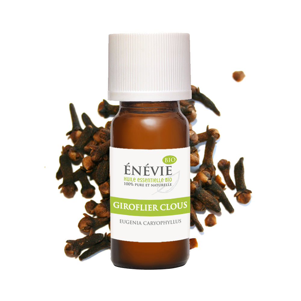 Huile essentielle de Giroflier clous BIO 10ml