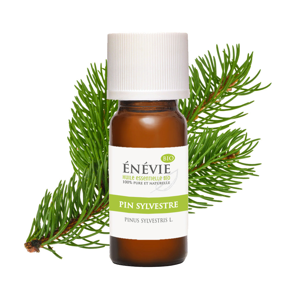 Huile essentielle de Pin sylvestre BIO 10ml
