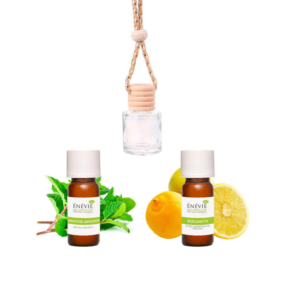 Sélection parfum mentholé