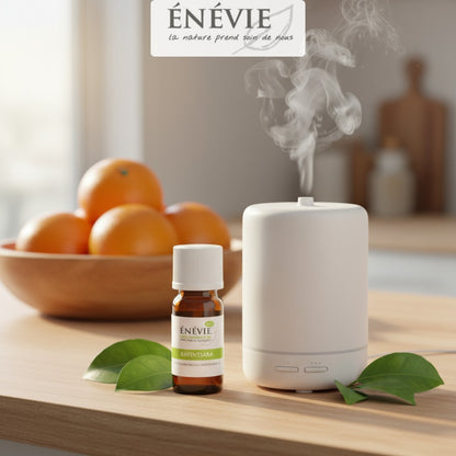 Huile essentielle de Ravintsara BIO 10ml