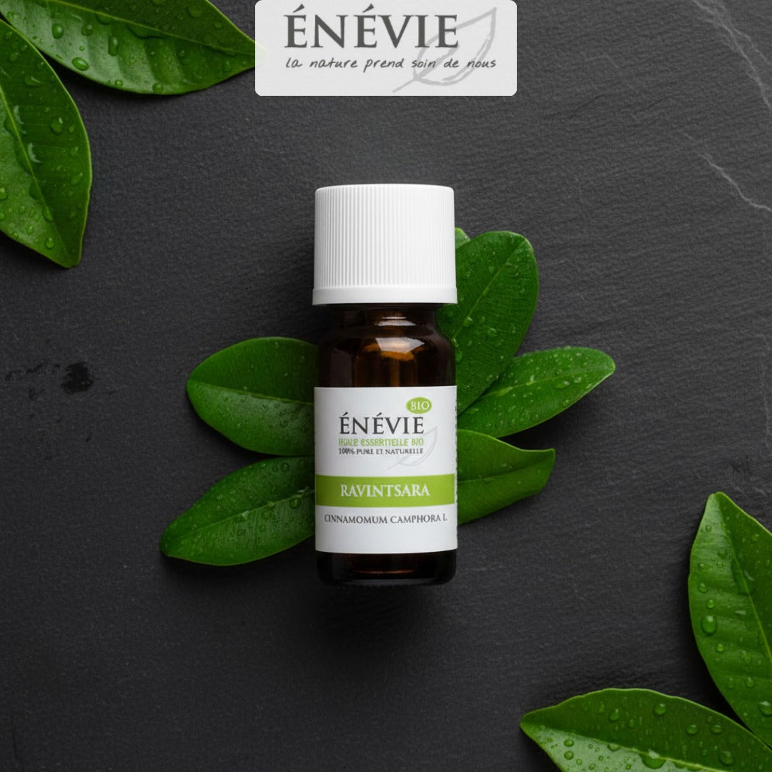Huile essentielle de Ravintsara BIO 10ml