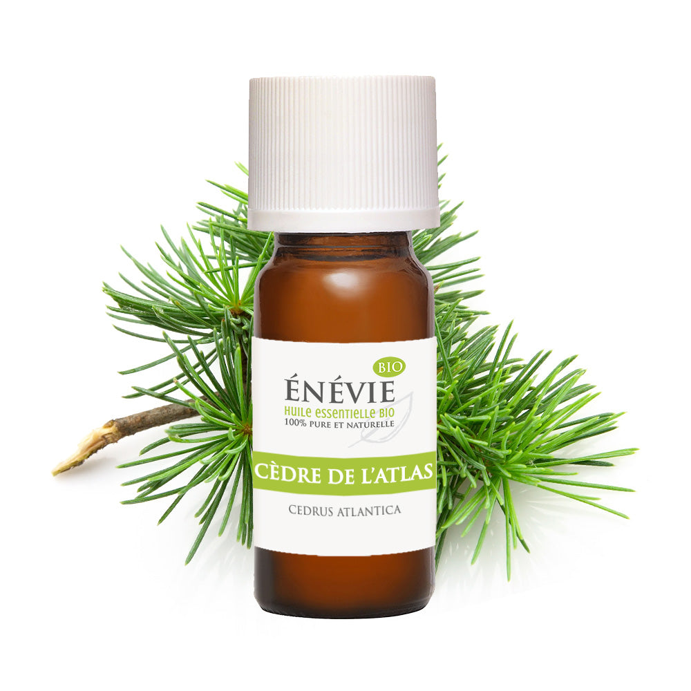 Huile essentielle de Cèdre de l'atlas BIO 10ml