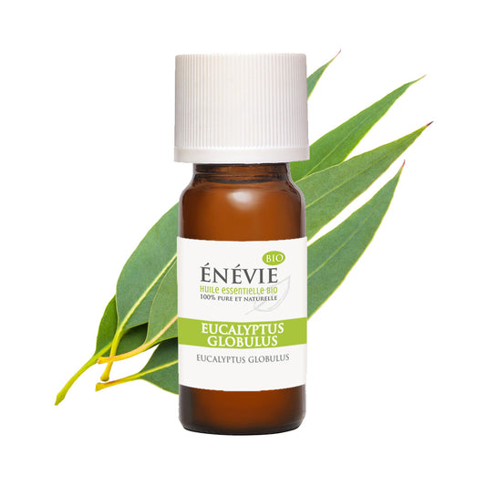 Huile essentielle d'Eucalyptus globulus BIO 10ml