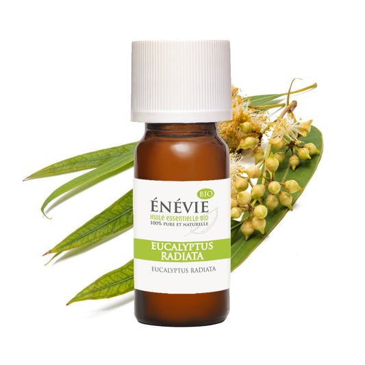 Huile essentielle d'Eucalyptus radiata BIO 10ml