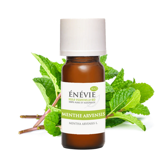 Huile essentielle de Menthe arvensis BIO 10ml