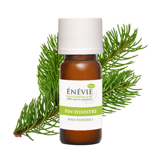 Huile essentielle de Pin sylvestre BIO 10ml