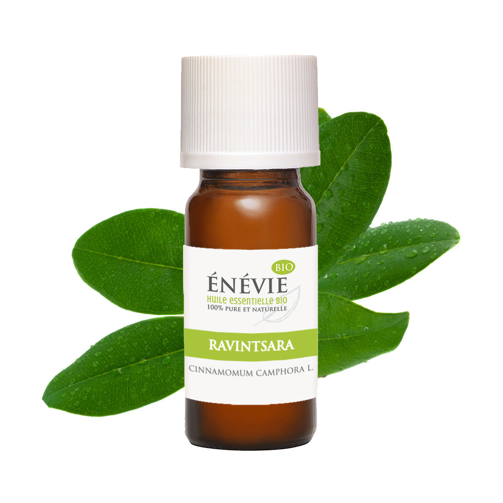 Huile essentielle de Ravintsara BIO 10ml