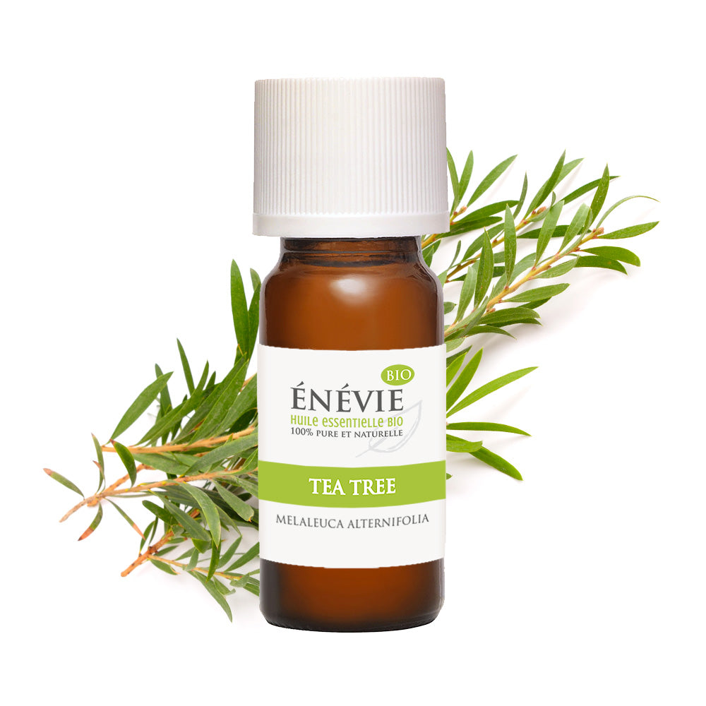 Huile essentielle de Tea Tree BIO 10ml