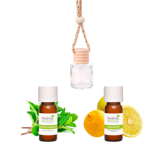 Sélection parfum mentholé